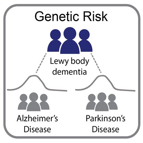 Genetic study of Lewy body dementia supports ties to Alzheimer’s and Parkinson’s diseases ...