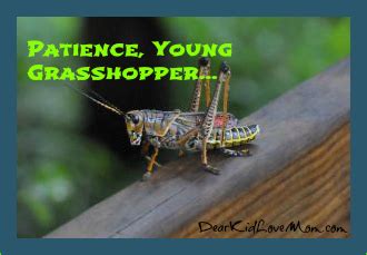 Famous Grasshopper Quotes. QuotesGram