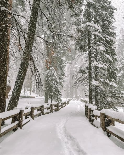 Everything You Need to Know Before Visiting Sequoia National Park in Winter - Live Like It's the ...