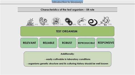 Introduction to bioassays - YouTube