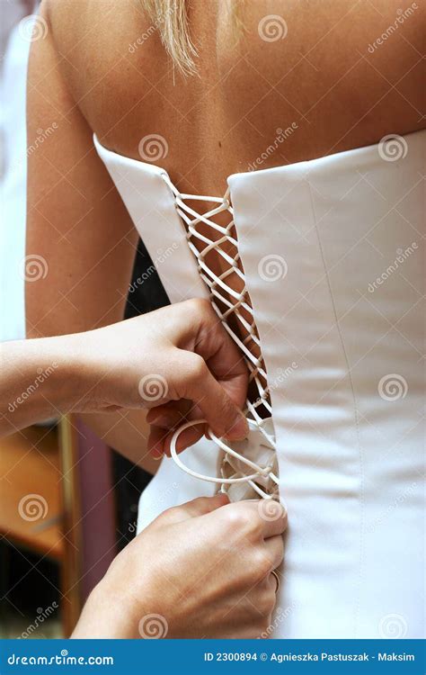 Fitting of wedding dress stock photo. Image of women, gown - 2300894