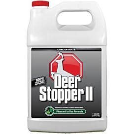 Rescue Your Plantings from Deer Browsing: Deer Resistant Annuals and Deer Repellent Spray ...