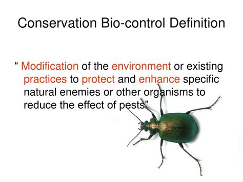 PPT - Biological Control Strategies III PowerPoint Presentation, free ...