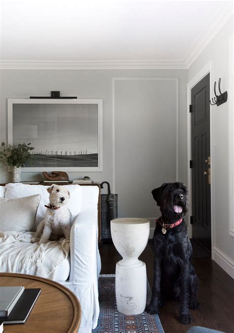 Family & Pet Friendly Sofas - Room for Tuesday Blog