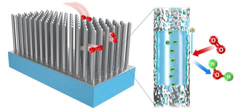 Nanowire Innovation: Revolutionizing Fuel Cells With Enhanced Durability