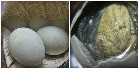 Cook this Recipe: Balut: The Feared Philippine Street Delicacy