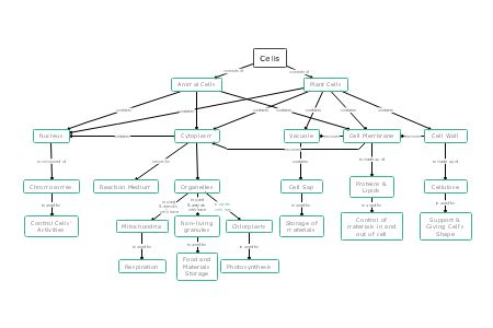 Top 125+ Concept map of plant and animal cells - Merkantilaklubben.org