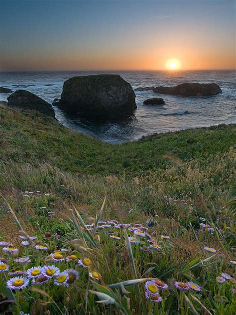 Mendocino Headlands State Park, a California park located near Fort Bragg