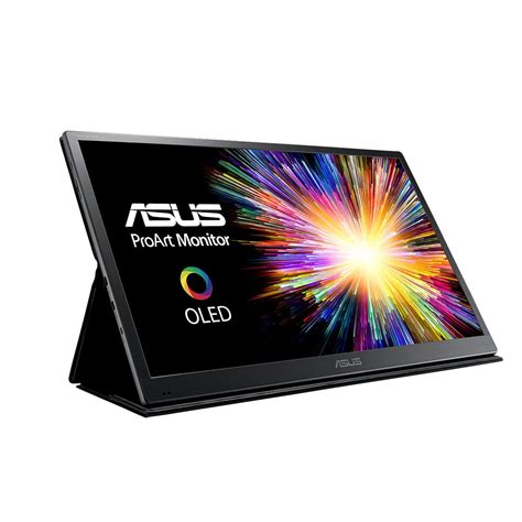 ASUS ProArt PQ22UC 22" 4K HDR Professional Portable Monitor | Computer Lounge