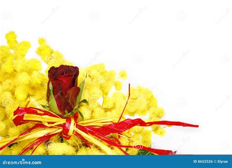 Red rose in a bouquet stock photo. Image of bunch, greeting - 8652526