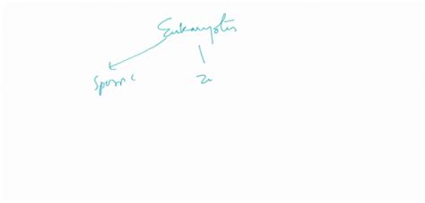 SOLVED:In Levinson's theory, what is the life structure and what are the major eras of adult life?