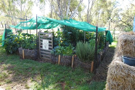 Straw Bale Gardening Australia - Strawbale Gardens Instuctors Directory