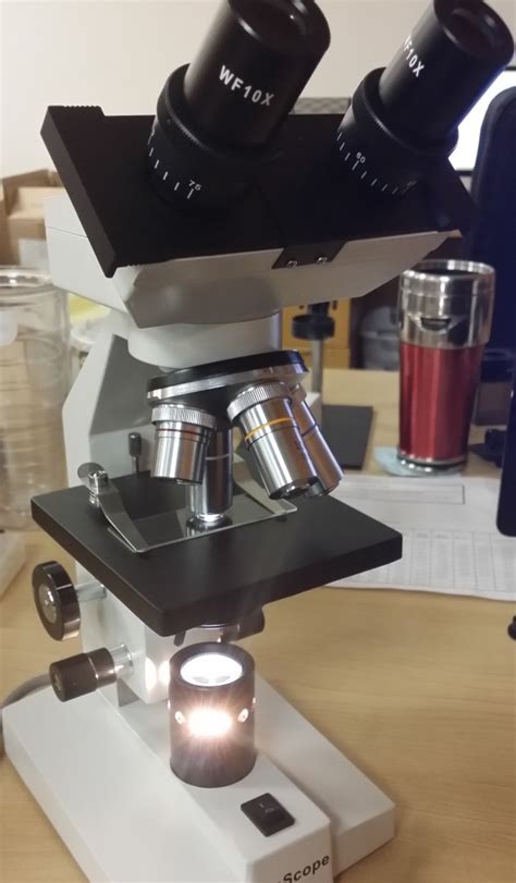 AmScope Microscope Review "B100B-MS"