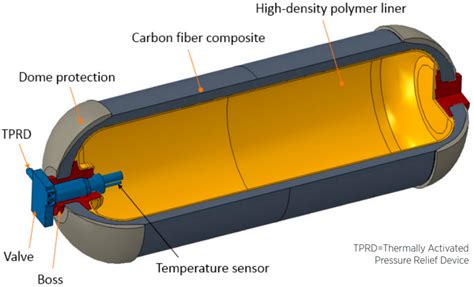 Hydrogen Pumps Move Hydrogen Ions Into Which Structure