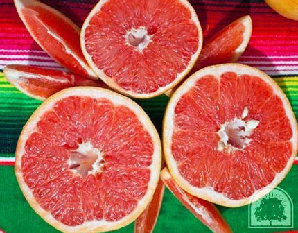 Rio Red Grapefruit are more Delicious and Red than Ruby Red Grapefruit | Grapefruit, Texas ...