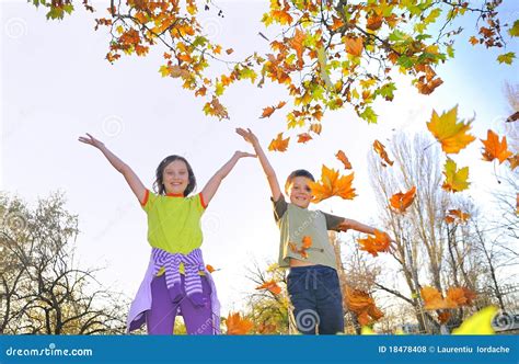 Kids playing with leaves stock photo. Image of childhood - 18478408