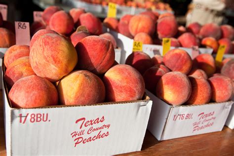 Peaches | Things to do in Fredericksburg, Texas