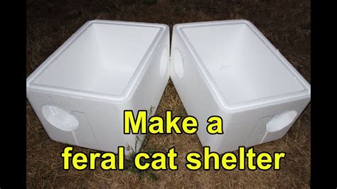 Outdoor Cat Box For Winter Diy - bbs2123