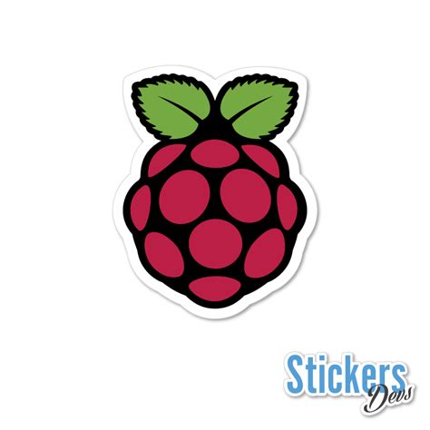 Raspberry Pi Sticker – Stickers Devs