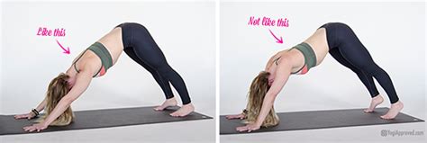 The Secret to a Perfect Downward Dog and Plank Pose (Hint: It’s All ...