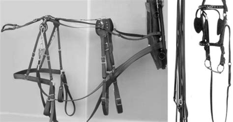 VINEYARD DRAFT HORSE Tack & Kit | Indiegogo