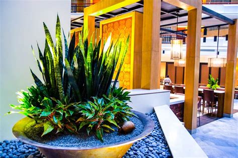 Pin by Embassy Suites Austin Downtown on ATRIUM | Plants, Landscape, Atrium