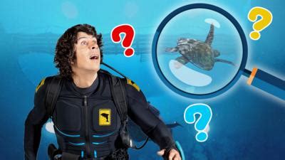 Andy's Aquatic Adventures - CBeebies - BBC