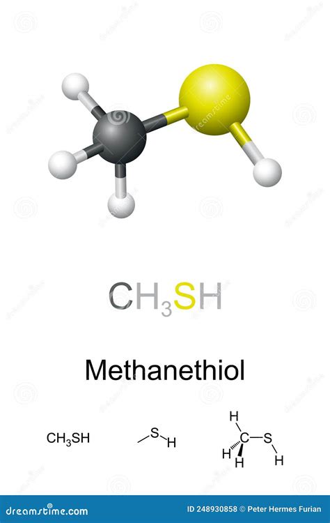 Methanethiol, Methyl Mercaptan, Molecular Model and Chemical Formulas ...