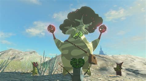 Zelda: Tears of the Kingdom — How to Get and Use Korok Seeds in TotK – GameSkinny