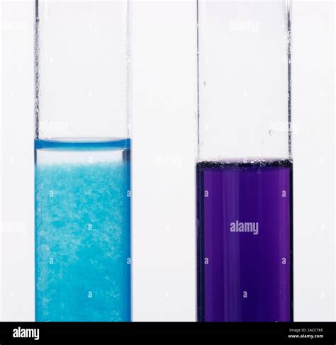 Biuret test for protein. Test tubes containing negative (left) and positive (right) tests for ...