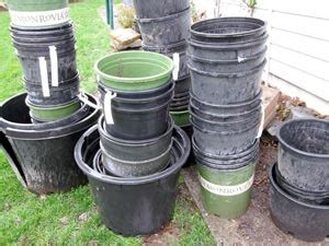 Progressive Charlestown: Garden waste or garden resource?