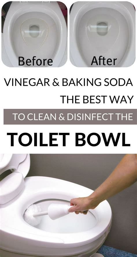 Vinegar And Baking Soda - The Best Way To Clean And Disinfect The Toilet Bowl in 2020 | Toilet ...