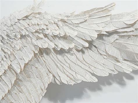 Nature&Culture — Wing, by Susan Hannon | Angel aesthetic, Wings, White aesthetic