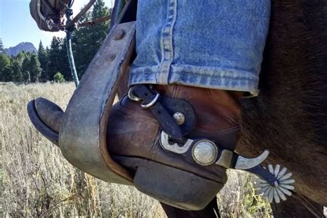 Horse Riding Spurs: Should You Really Be Using Them? – Horse FactBook