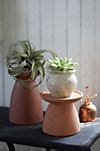 Ceramic Plant Riser | Anthropologie