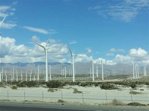 Windmills | Windmill, Palm springs, Palm