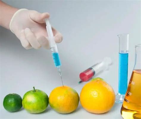 5 Benefits of Food Biotechnology That You Must Know