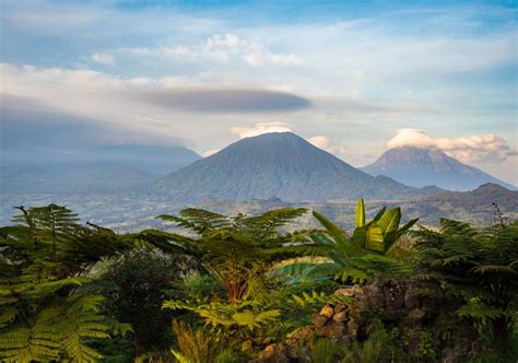 How to Get to Volcanoes National Park | Rwanda Eco Company & Safaris.