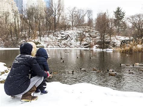 20 Ways to Enjoy Winter in Central Park | Central Park Conservancy