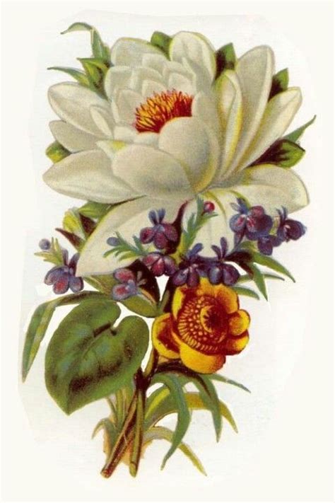 This would make a beautiful back piece | Floral prints art, Vintage flowers, Flower art