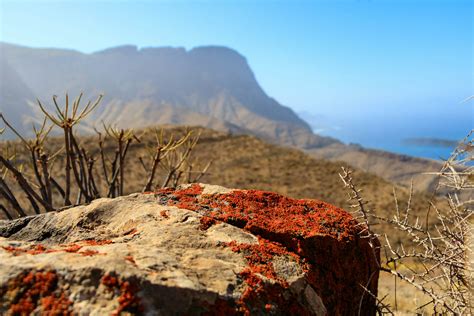 Hiking in Gran Canaria: the island’s best walks - Lonely Planet