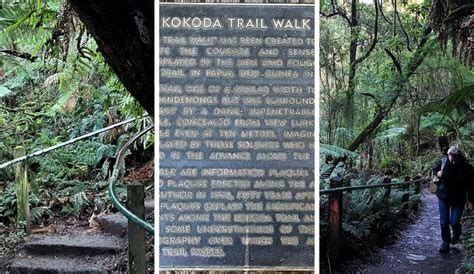 Thousand Steps Walking Track, Dandenong Ranges, Melbourne, Australia