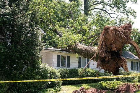 Wind Damage Roof Insurance Claims (A Guide on What To Do)