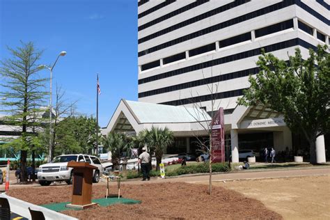 St. Dominic Hospital marks 75th anniversary with tree planting ...