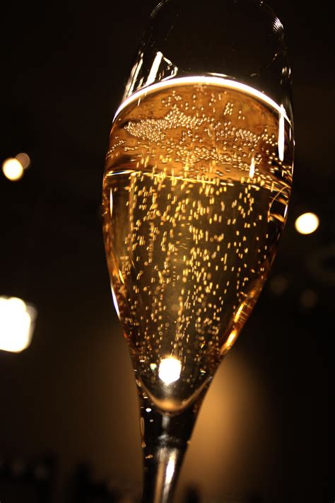 Champagne cocktails – more than just Bellini’s and Mimosa’s | The Fervent Shaker
