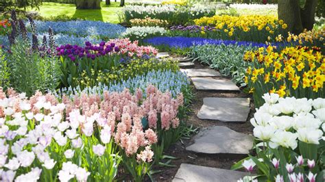 How To Use The Color Wheel To Design The Perfect Colorful Garden