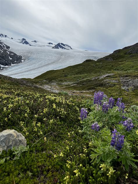 10 Best Hiking Trails in Alaska — Kate and Cody