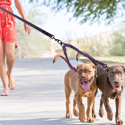 8 Best Double Dog Leash Coupler - Enjoy walking your two dogs together ...