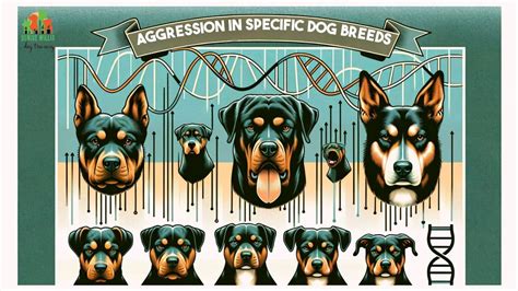 Dog Aggression in Specific Breeds: The Compelling Science Behind Canine Temperament - DW Dog ...