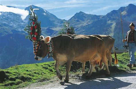 Holidays in Austria | Your Official Travel Guide